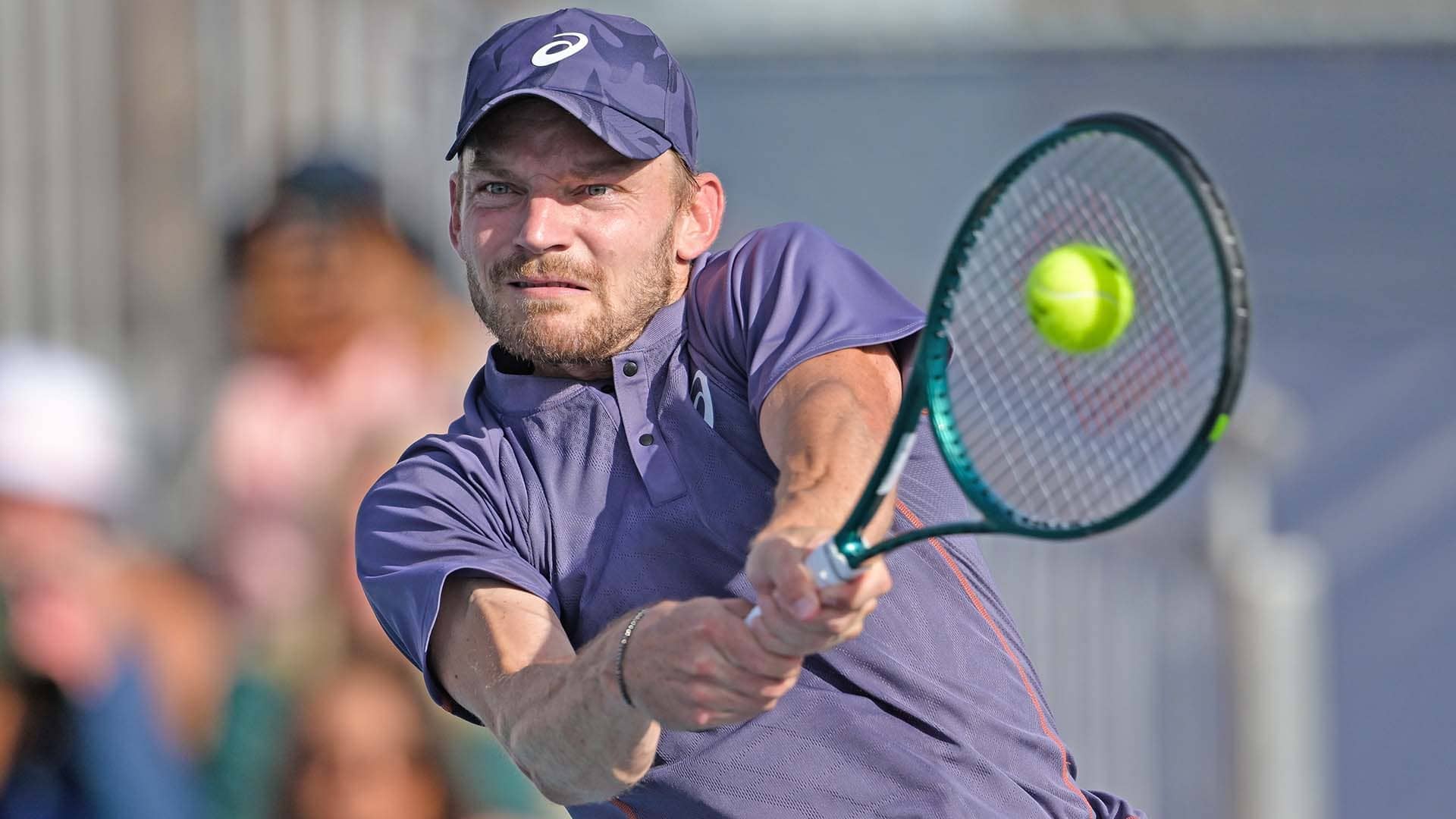 David Goffin