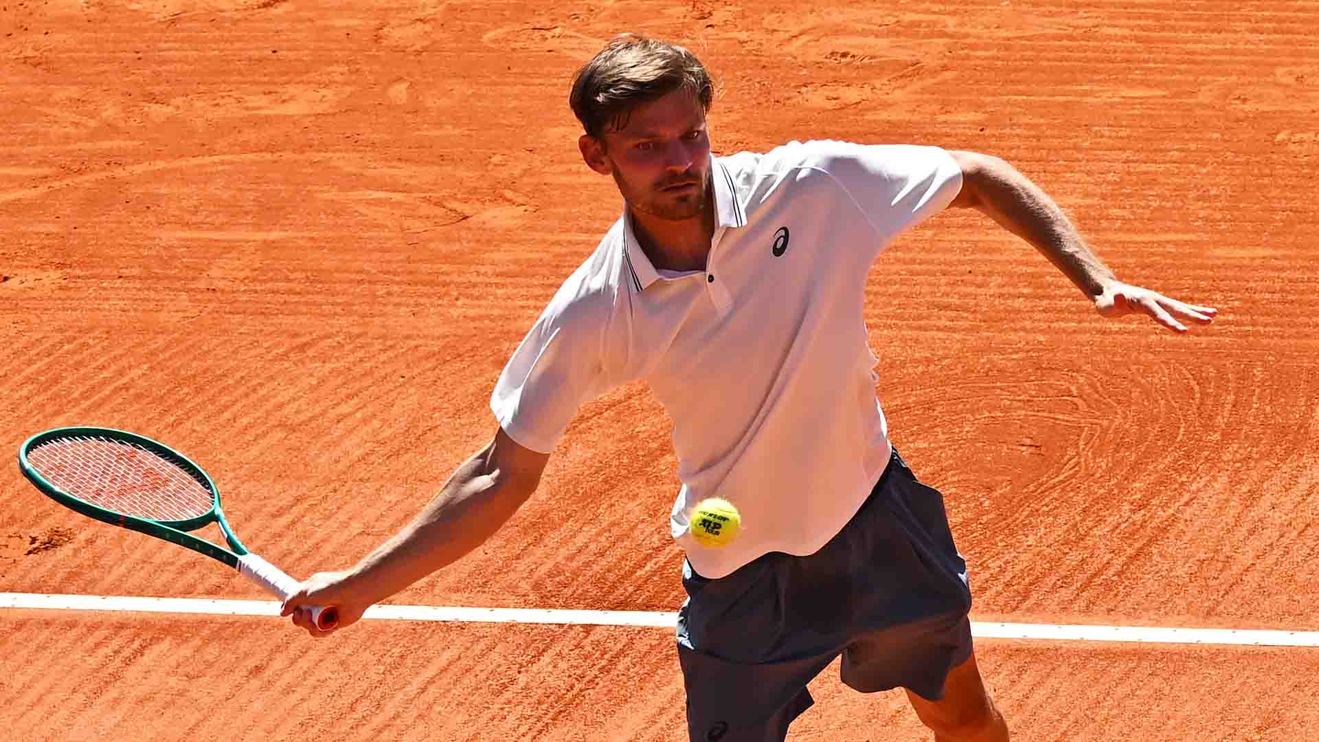 David Goffin